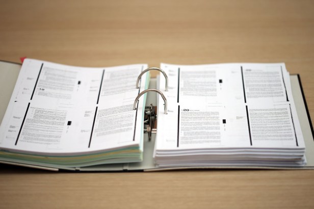 IMG_3538 copy 1000pix